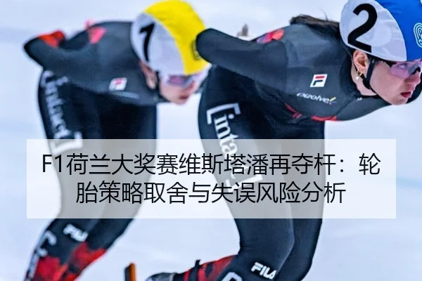 he-lan-da-jiang-sai-wei-si-ta-pan-zai-duo-gan-lun-tai-ce-lve-qu-she-yu-shi-wu-feng-xian-fen-xi-2-236.jpg